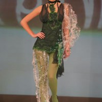 Photo-6