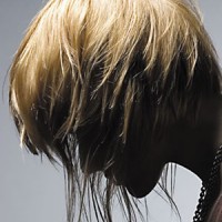 Photo-11