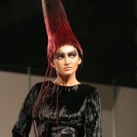 IMG 8849