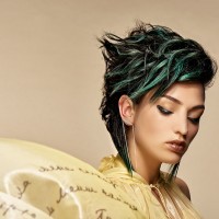 Intercoiffure14993-копия