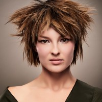 Intercoiffure15810-копия